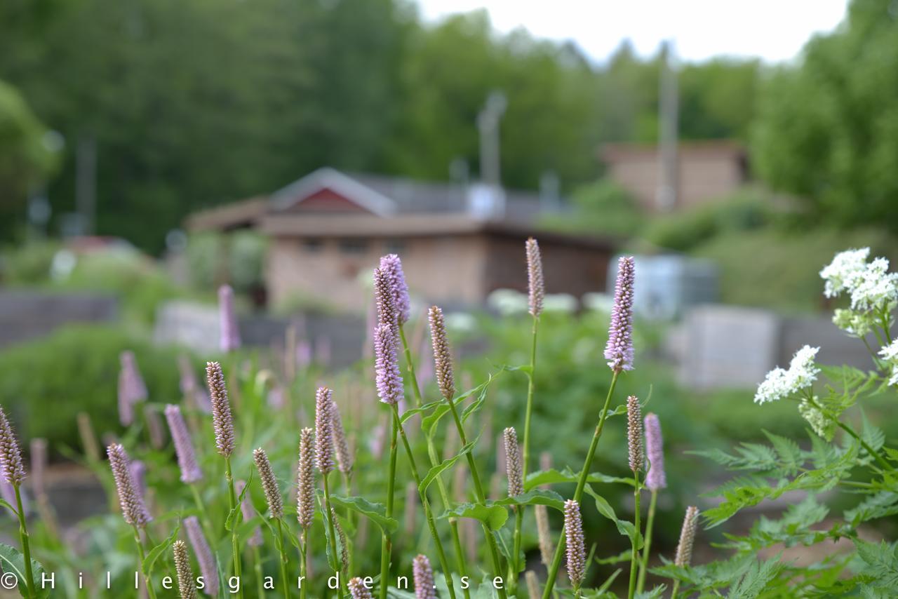 Hillesgarden 호텔 Boarp 외부 사진